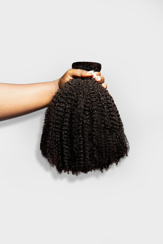 Seamless Clip-Ins- Zuri (4b)