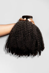 Seamless Clip-Ins- Azalea (4c)